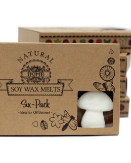 Box of 6 Large Soy Wax Melts – White Musk