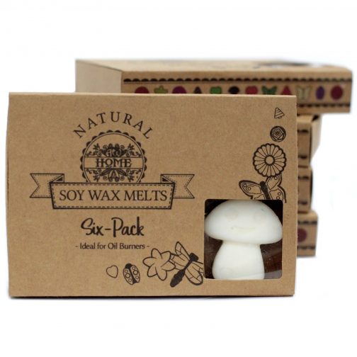 Box of 6 Large Soy Wax Melts - White Musk - Image 2