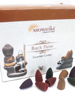 Backflow cones