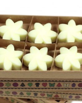 Box of 6 Large Soy Wax Melts – Lemon Harvest
