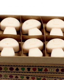 Box of 6 Large Wax Melts – Vanilla Nutmeg