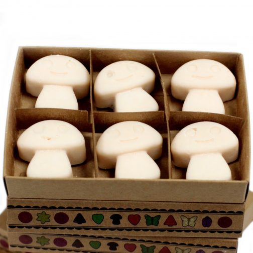 Box of 6 Large Wax Melts - Vanilla Nutmeg