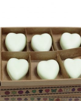 Box of 6 Large Wax Melts – Apple Spice