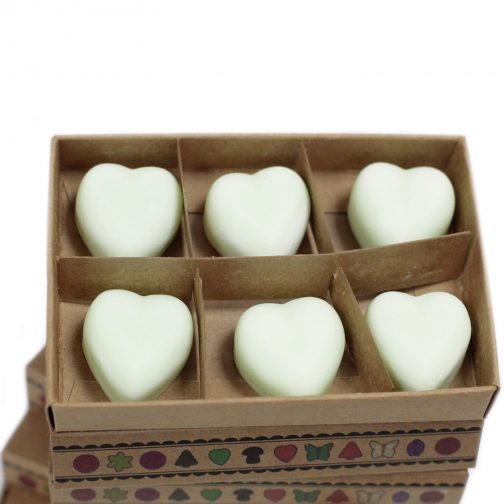 Box of 6 Large Wax Melts - Apple Spice