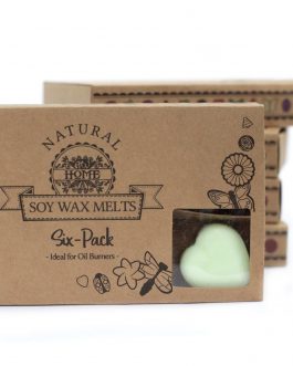 Box of 6 Large Wax Melts – Apple Spice