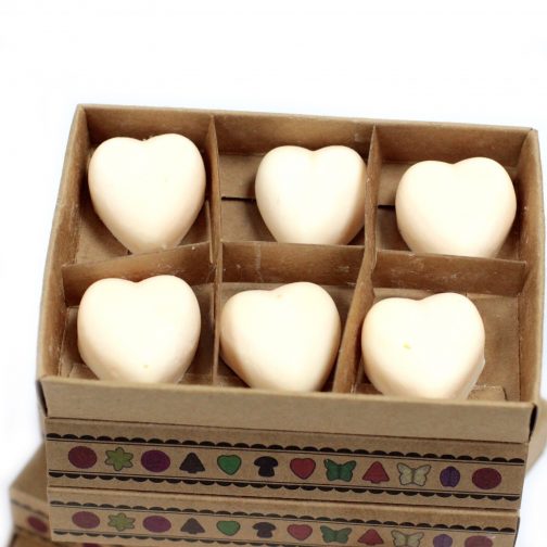 Box of 6 Large Wax Melts - Cinnamon & Orange