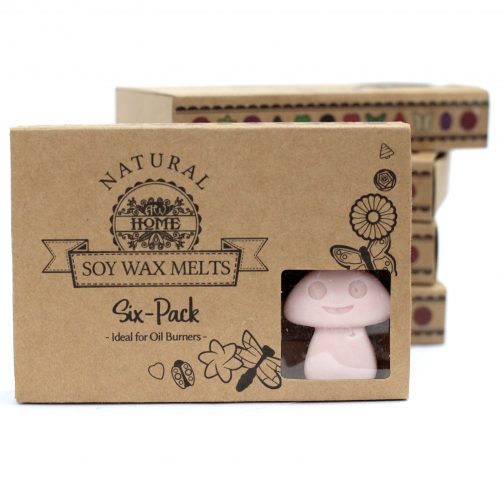 Box of 6 Large Soy Wax Melts - Dark Sandalwood - Image 2