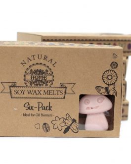 Box of 6 Large Wax Melts – Old Ginger