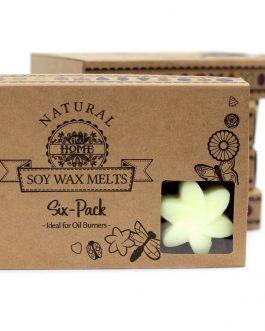 Box of 6 Large Soy Wax Melts – Lemon Harvest