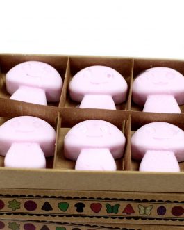Box of 6 Large Soy Wax Melts – Dark Sandalwood