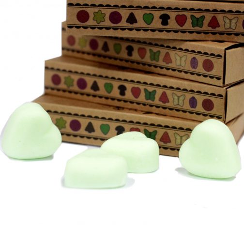 Box of 6 Large Wax Melts - Watermelon - Image 3
