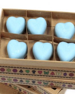 Box of 6 Large Soy Wax Melts – Nagchampa