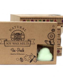 Box of 6 Large Soy Wax Melts – Mint & Menthol