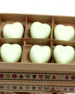 Box of 6 Large Soy Wax Melts – Mint & Menthol
