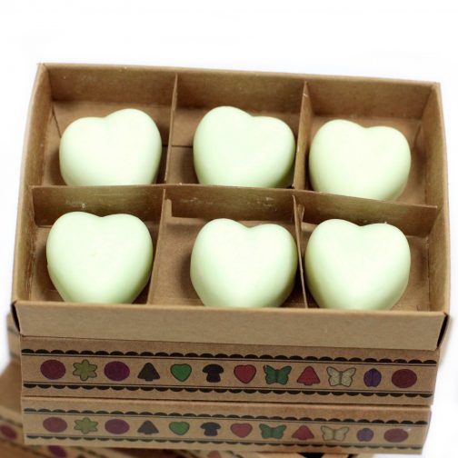Box of 6 Large Soy Wax Melts - Mint & Menthol