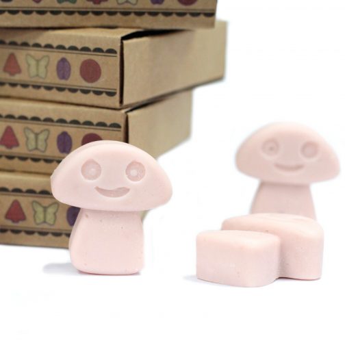 Box of 6 Large Wax Melts - Old Ginger - Image 3