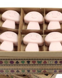 Box of 6 Large Wax Melts – Old Ginger