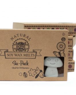 Box of 6 Large Wax Melts – Dark Patchouli