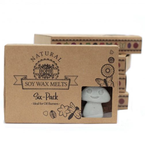 Box of 6 Large Wax Melts - Dark Patchouli - Image 2