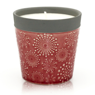 Soy Wax Candles & Wax Melts