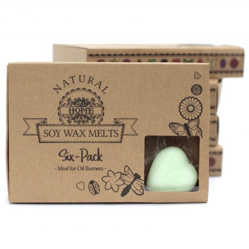 Box of 6 Large Wax Melts - Watermelon - Image 2