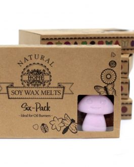Box of 6 Large Wax Melts – Ylang Ylang