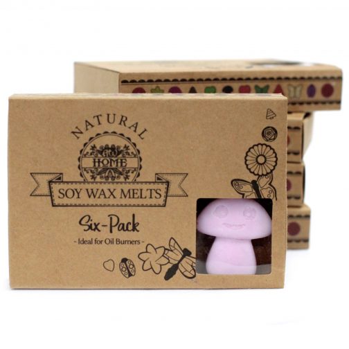 Box of 6 Large Wax Melts - Ylang Ylang - Image 2
