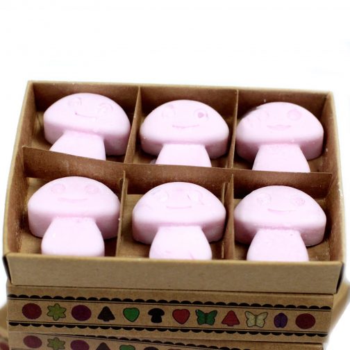 Box of 6 Large Wax Melts - Ylang Ylang