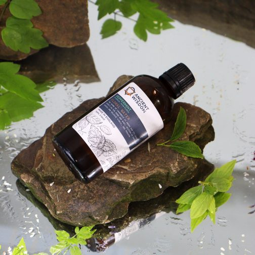 Peppermint Hydrolat - 100 ml - Image 2