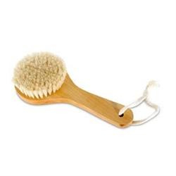 Short Handled Body Brush