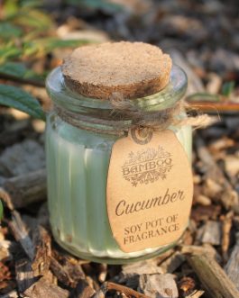 Soy Wax Candle Jars x 2 – Cucumber