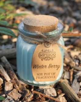 Soy Wax Candle Jars x 2 – Winter Berry