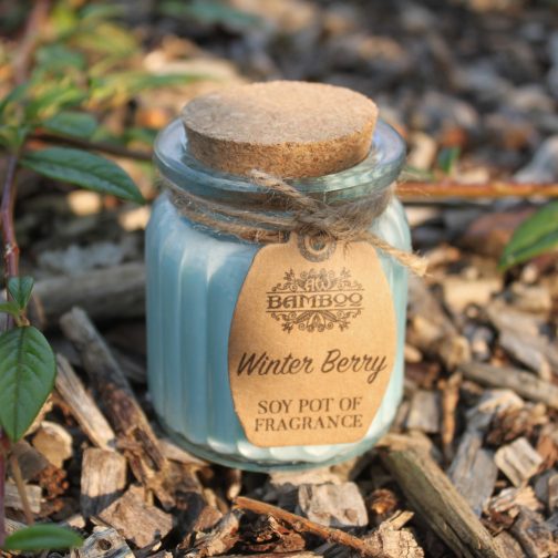Soy Wax Candle Jars x 2 - Winter Berry