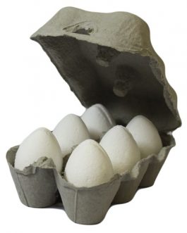Egg bath bomb fizzers x 6 – Coconut