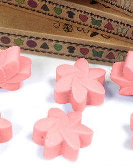 Box of 6 Large Wax Melts – Japanese Magnolia
