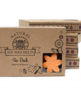 Box of 6 Large Wax Melts – Mango