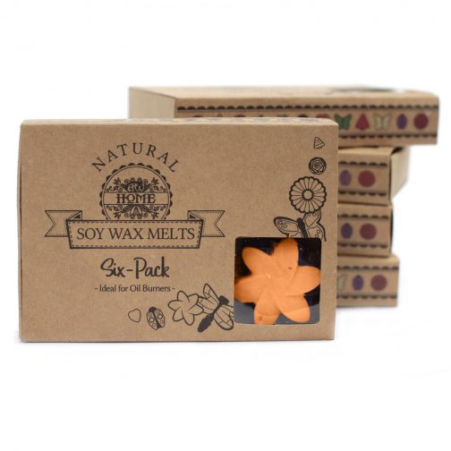 Box of 6 Large Wax Melts - Mango - Image 2