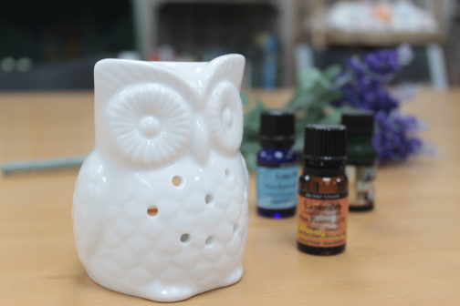 White Ceramic Oil / Wax Tealight Burner - Owl Design - Image 3