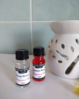 10 x 5 cm Tealight Oil Burner gift Set – 2 Fragrance oils & 60 Wax melts