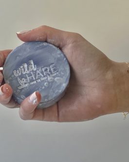 Solid Shampoo